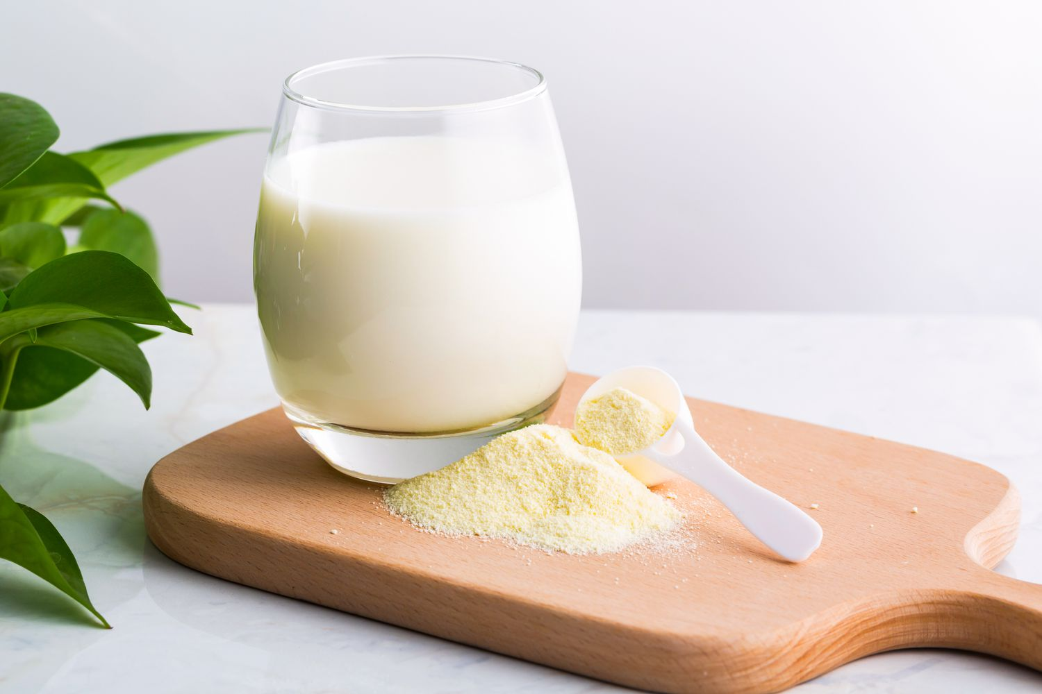 Powdered milk is one of the most popular types of milk today
