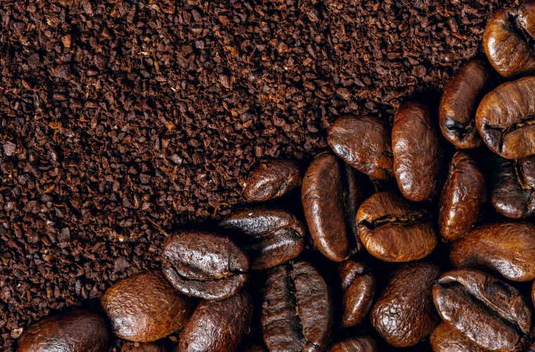 Unveiling the Rich World of Coffee Beans: From Plant to Cup